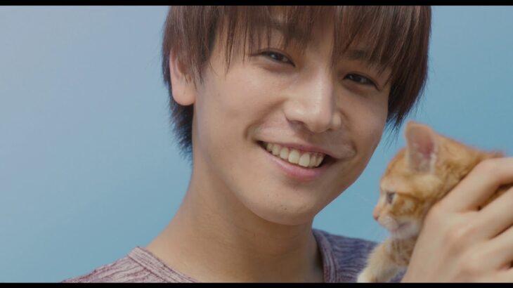 映画『パーフェクトワールド　君といる奇跡』予告編