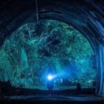 犬鳴村 予告 60秒