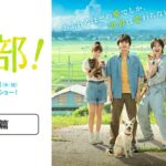 『犬部！』予告篇【7月22日(木祝)公開】