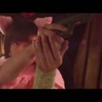 クレイジー・パンク・バイオレンス・アクション！『爆裂魔神少女 バーストマシンガール』予告編動画