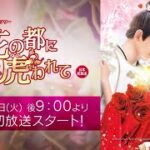 ＜衛星劇場2021年04月＞中国ドラマ 時代劇 『花の都に虎（とら）われて～The Romance of Tiger and Rose～』 日本初放送 60秒予告