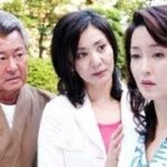 片平なぎさ 午後のサスペンス 女かけこみ寺刑事 大石水穂 ✔️📀📽️時代劇スペシャル 2023