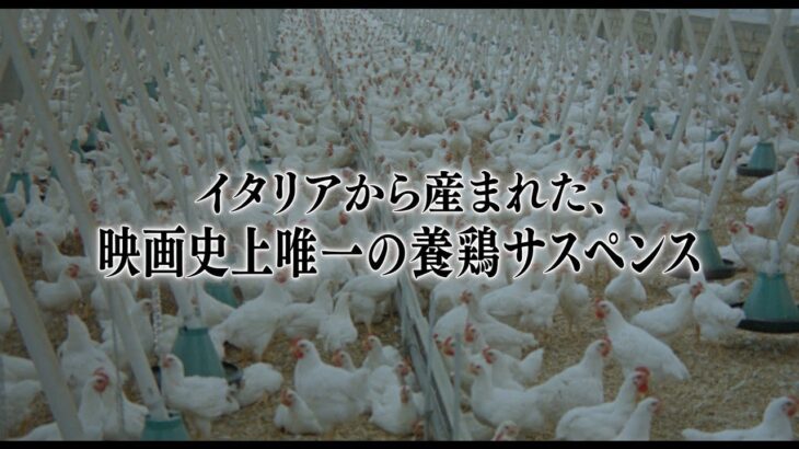 映画史上唯一の養鶏サスペンス　生命倫理を蹂躙する企業の非人間性暴く　映画「殺しを呼ぶ卵 【最長版】」予告