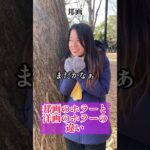 【邦画と洋画の違い】ホラー映画#映画あるある
