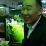 映画『冷たい熱帯魚』予告編