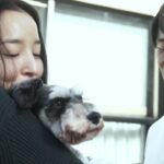 人間の欲望、嫉妬の渦・エロティックサスペンス／映画『クロス』予告編