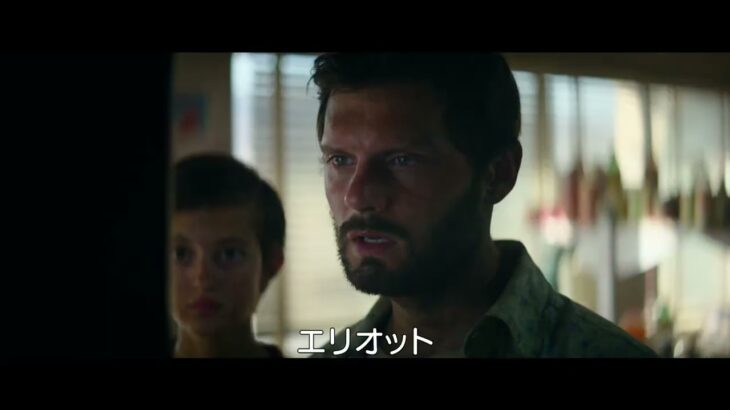 『レッド・グラビティ』予告