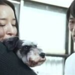 紺野千春 x 山中聡 x S h a r o エロティックサスペンス映画『クロス』予告