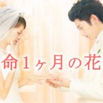 映画『余命1ヶ月の花嫁』予告　出演：榮倉奈々／瑛太