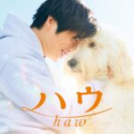 『ハウ』本予告　8月19日（金）公開