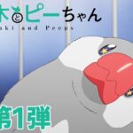 TVアニメ「佐々木とピーちゃん」PV第1弾【2024年1月放送】