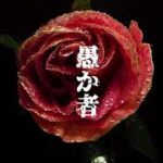 【映画予告風】『愚か者』