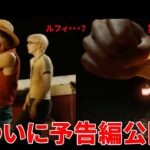 これはやばい！実写版ワンピース予告編レビュー＆分析