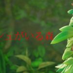 ＜恐怖＞この森に入ると二度と出られない 映画予告風【フォートナイト】