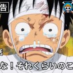 ルフィに負けじと不幸自慢するナレーター【ワンピース】