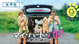 映画『マイ・ハート・パピー』本予告