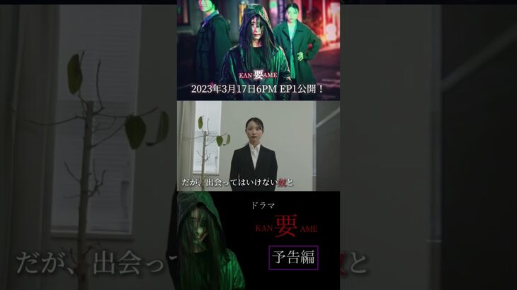 ドラマ『要KANAME』予告