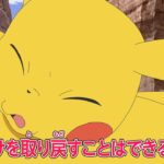 ポケットモンスター「荒野のふたり　フリードとキャップ」予告
