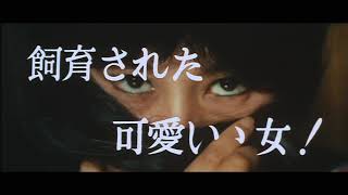 映画「痴人の愛（1967年版）」 予告