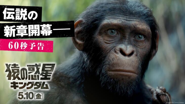 映画『猿の惑星／キングダム』60秒予告｜【伝説の、新章開幕―】｜5月10日（金）公開！
