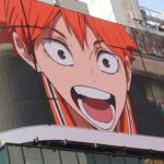 高校バレーボール 映画 ハイキュー!! ゴミ捨て場の決戦 FINALシリーズ 日向翔陽 spyair 하이큐!! 音駒セレクション ハイドリ 最強 クロス新宿 haikyuu japan
