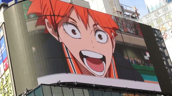 高校バレーボール 映画 ハイキュー!! ゴミ捨て場の決戦 FINALシリーズ 日向翔陽 spyair 하이큐!! 音駒セレクション ハイドリ 最強 クロス新宿 haikyuu japan