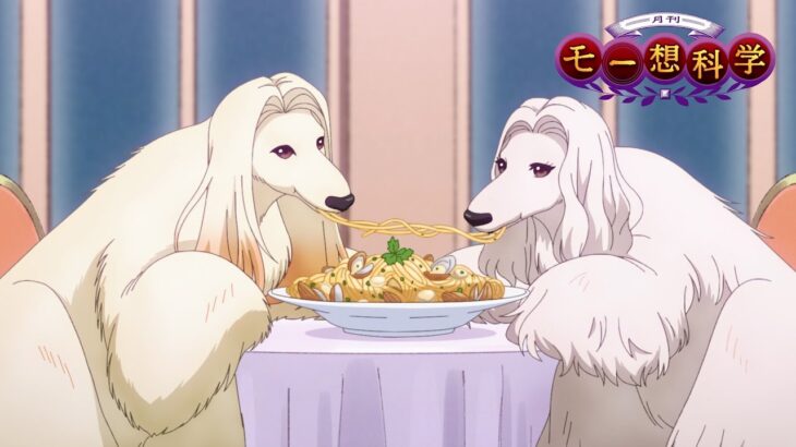 【TVアニメ「月刊モー想科学」次回予告】7月号『も～レツ！？　お見合いパーティ』｜2月22日(木)23:30より放送！#月刊モー