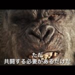 映画『ゴジラXコング/新たなる帝国』最新予告