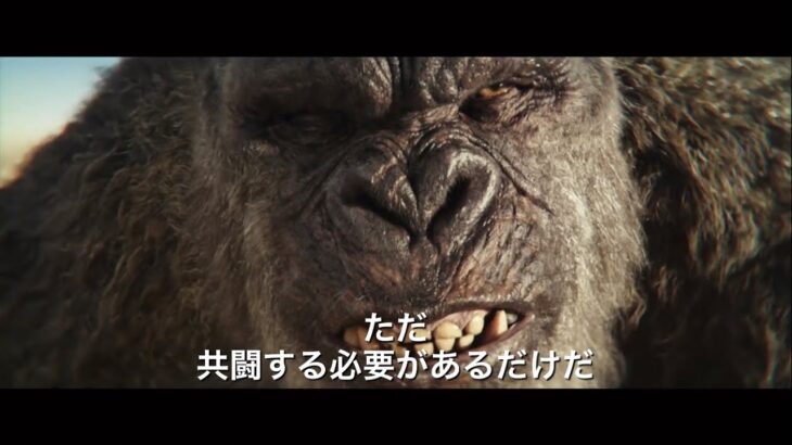 映画『ゴジラXコング/新たなる帝国』最新予告