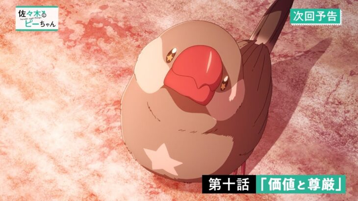 TVアニメ「佐々木とピーちゃん」第10話『価値と尊厳』WEB予告