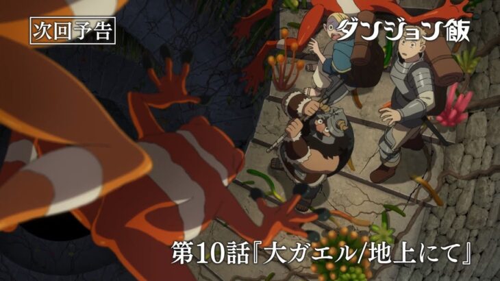 TVアニメ「ダンジョン飯」WEB予告｜第10話『大ガエル/地上にて』