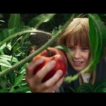 映画『マッドマックス：フュリオサ』US版本予告