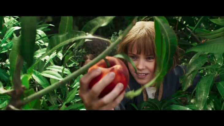 映画『マッドマックス：フュリオサ』US版本予告