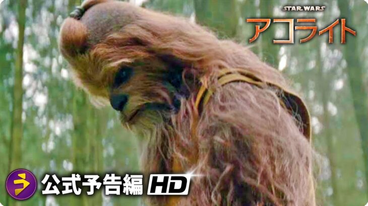 「スター・ウォーズ」ドラマ『アコライト』予告