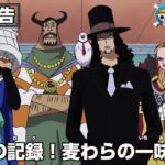 ONE PIECE 予告「因縁の記録！麦わらの一味とCP」