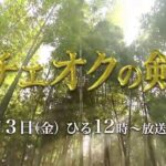 ハ・ジウォン主演　韓国時代劇「チェオクの剣」