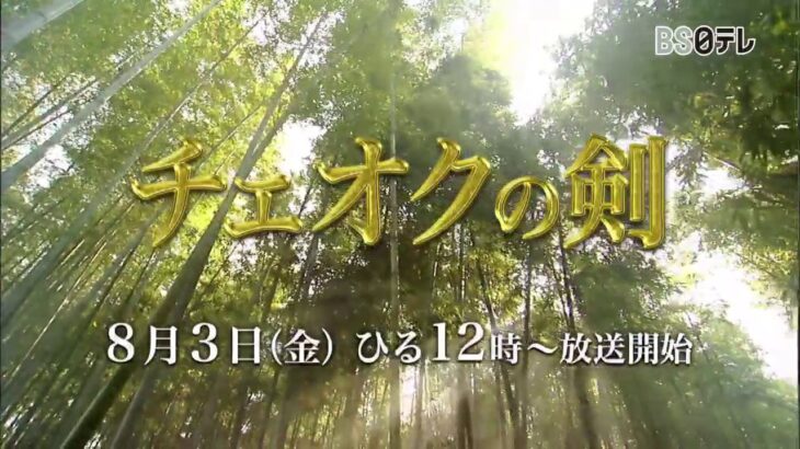 ハ・ジウォン主演　韓国時代劇「チェオクの剣」